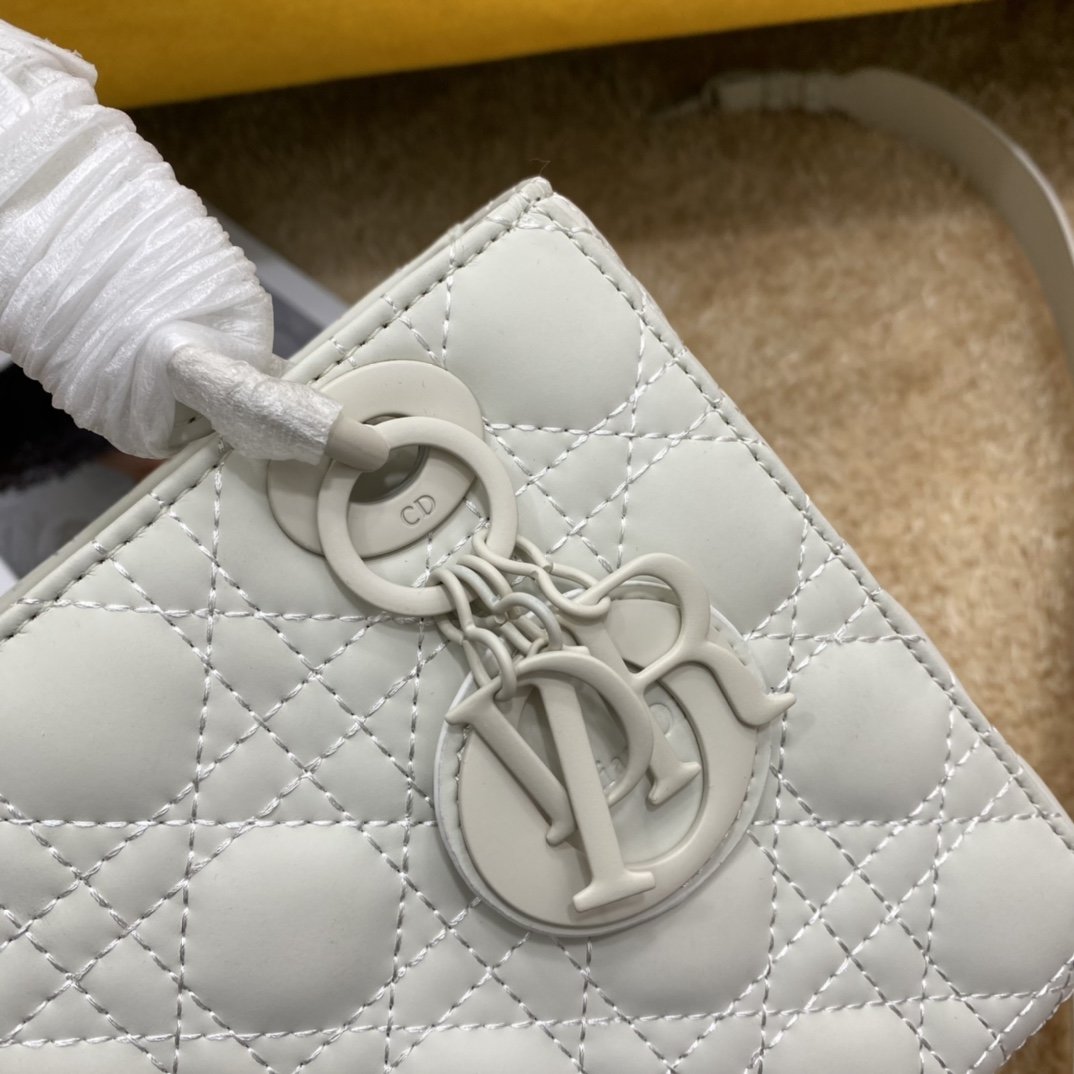 Dior The LADY D-LITE Bag
