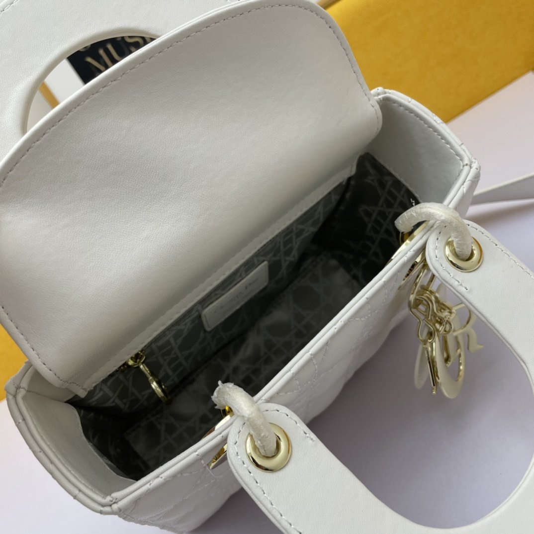 Dior The LADY D-LITE Bag
