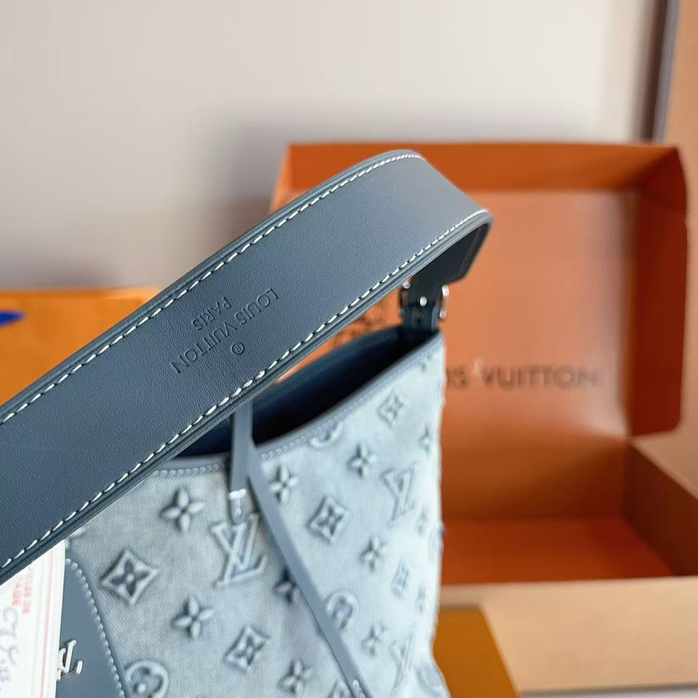 Louis Vuitton LV Carry All Bag