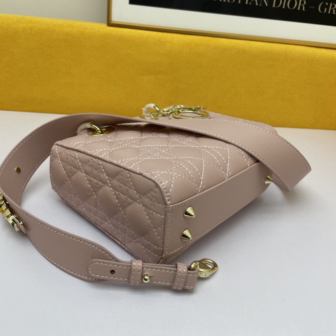 Dior The LADY D-LITE Bag