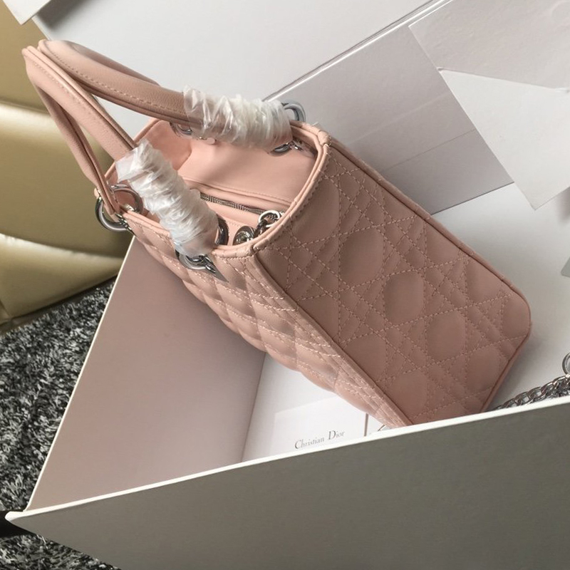 Dior The LADY D-LITE Bag