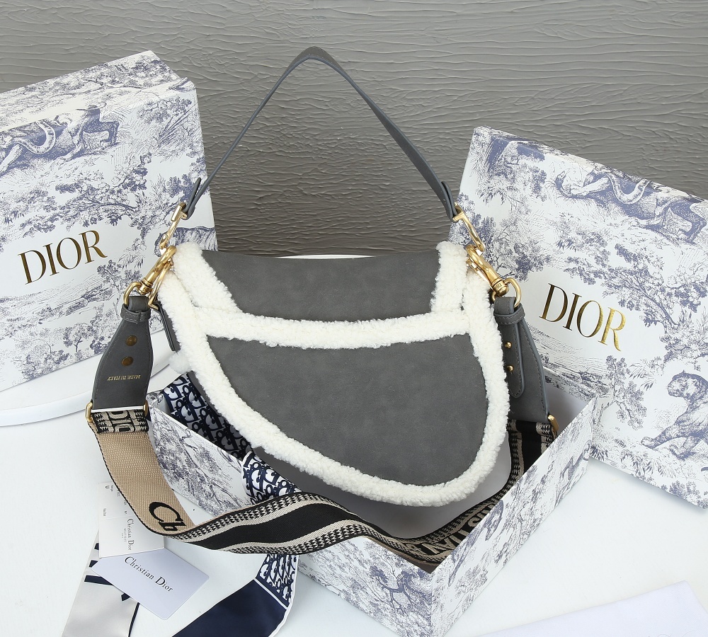 Dior SADDLE Bag