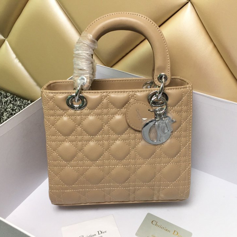 Dior The LADY D-LITE Bag