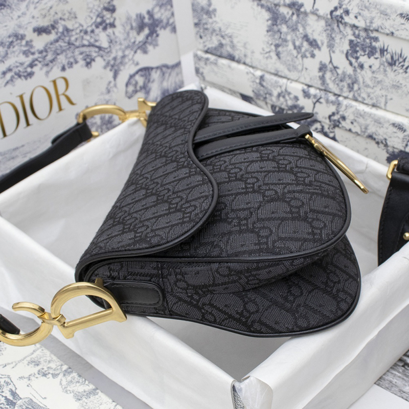 Dior SADDLE Bag