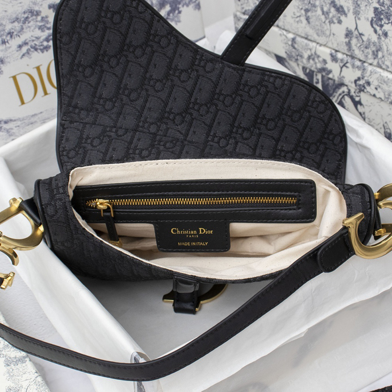 Dior SADDLE Bag