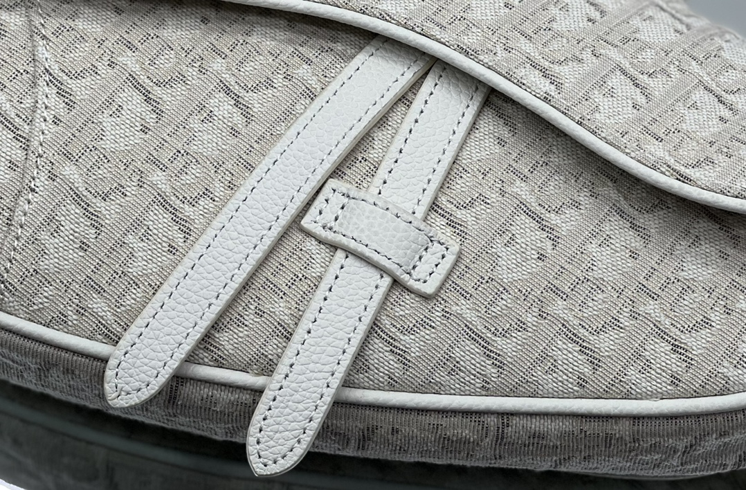 Dior Shoulder Bags SADDLE BAG Beige Dior Oblique Jacquard 1ADPO093YZY_H25E with Original Box