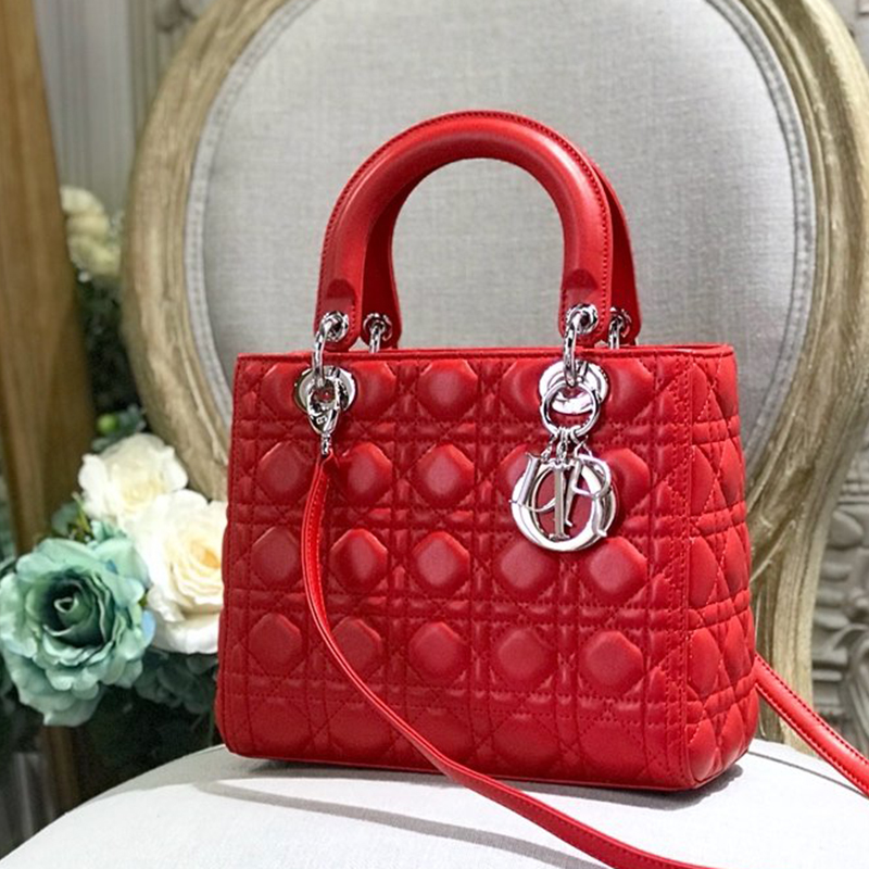 Dior The LADY D-LITE Bag