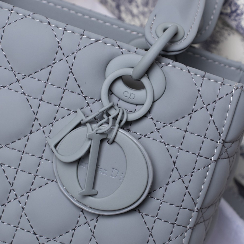 Dior The LADY D-LITE Bag