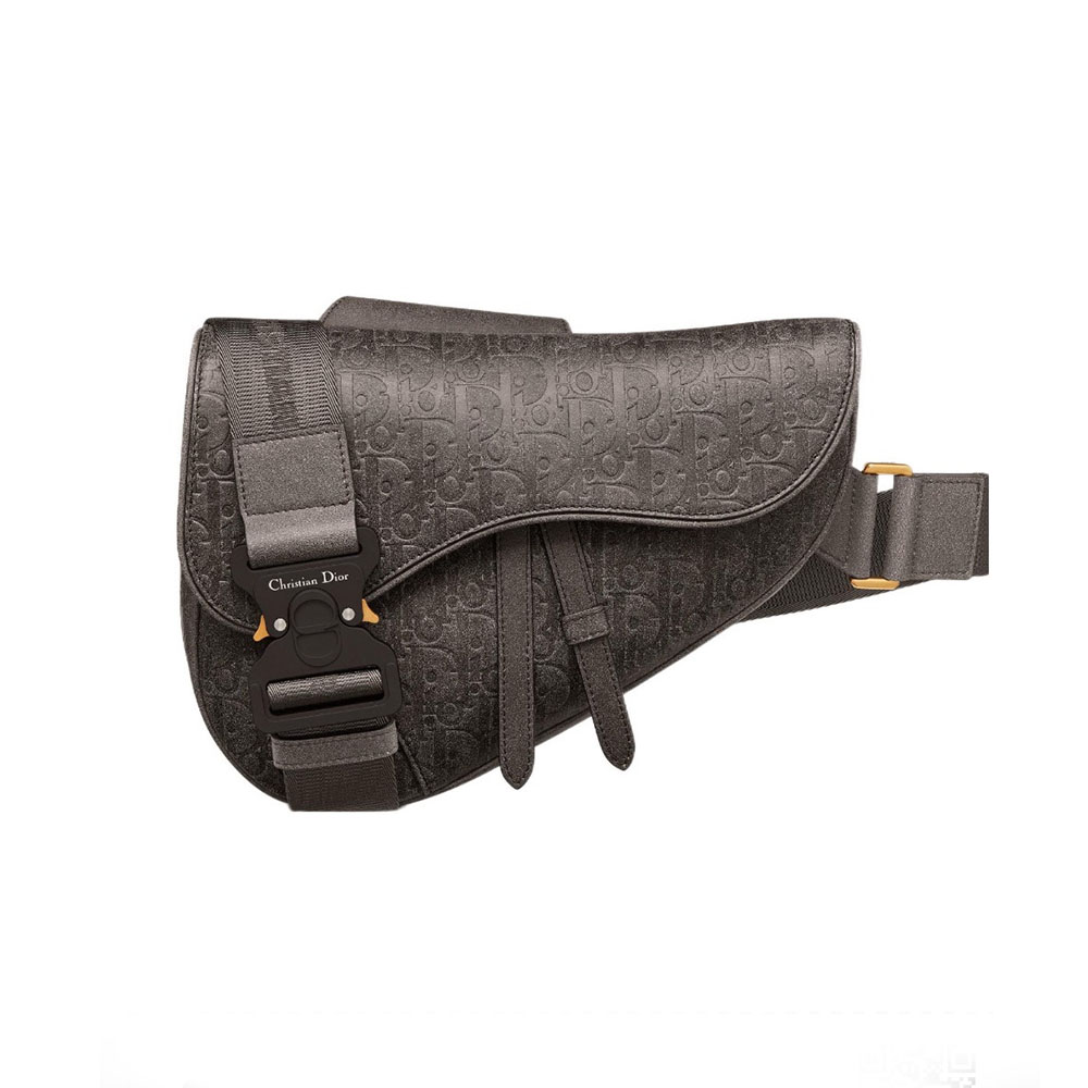 Dior saddle Bag
