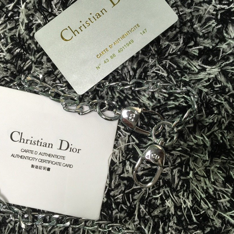 Dior The LADY D-LITE Bag