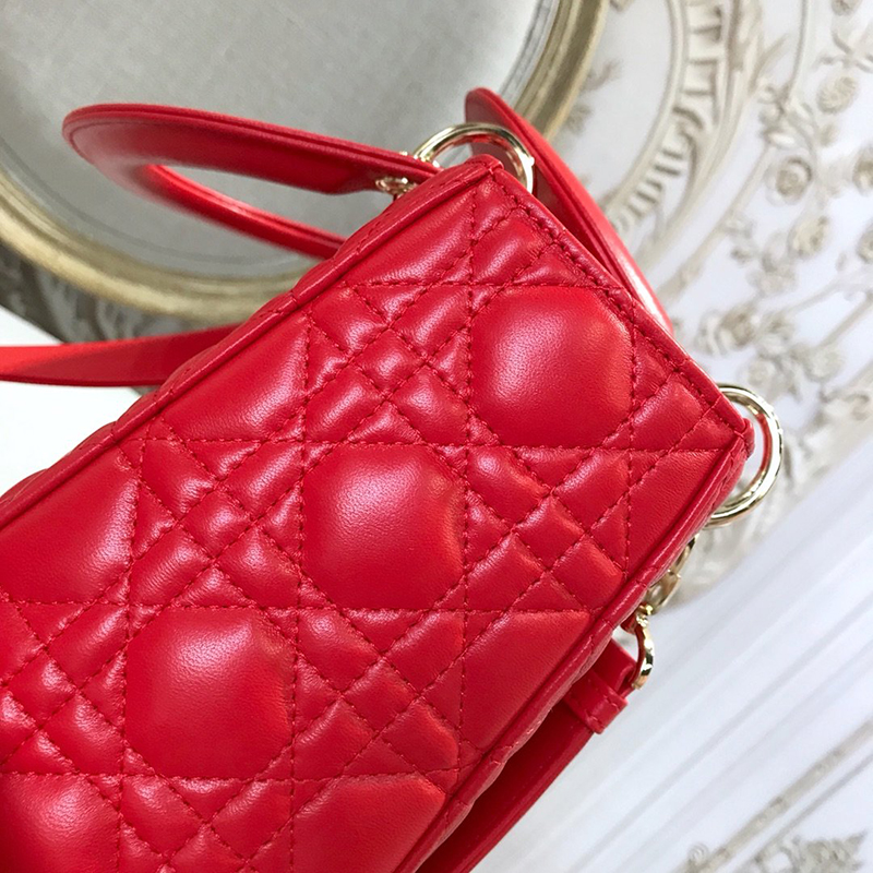 Dior The LADY D-LITE Bag