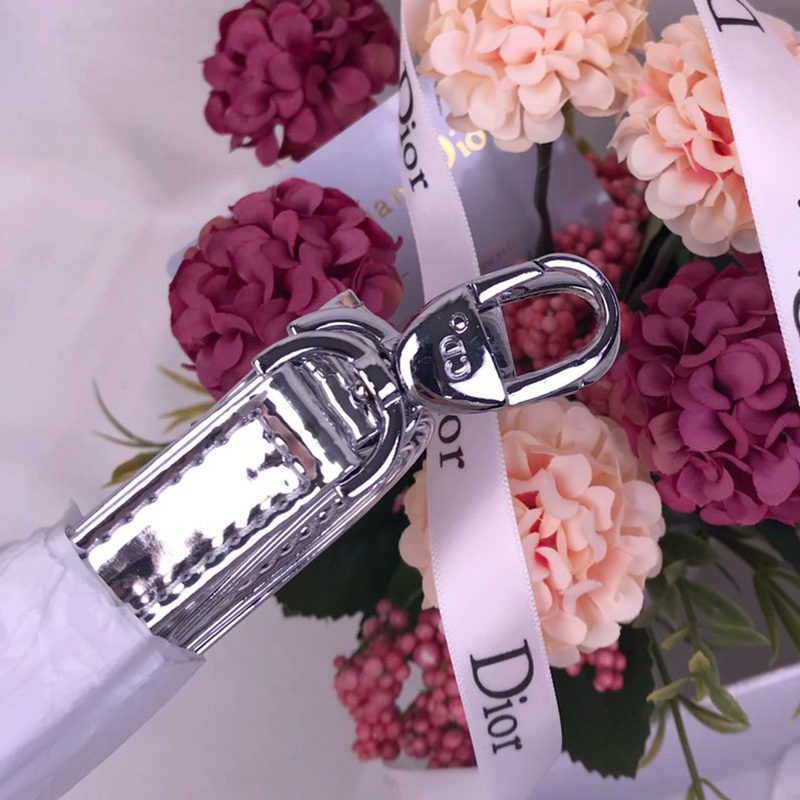 Dior The LADY D-LITE Bag