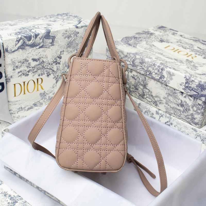 Dior The LADY D-LITE Bag