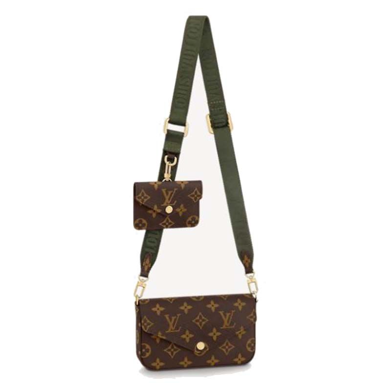 Louis Vuitton LV Felicie Pochette