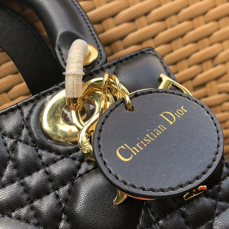 Dior The LADY D-LITE Bag