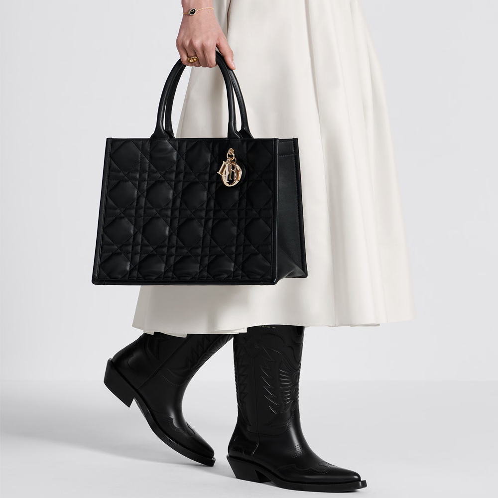 DIOR Book Tote bag