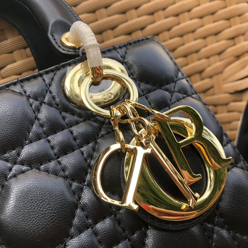 Dior The LADY D-LITE Bag