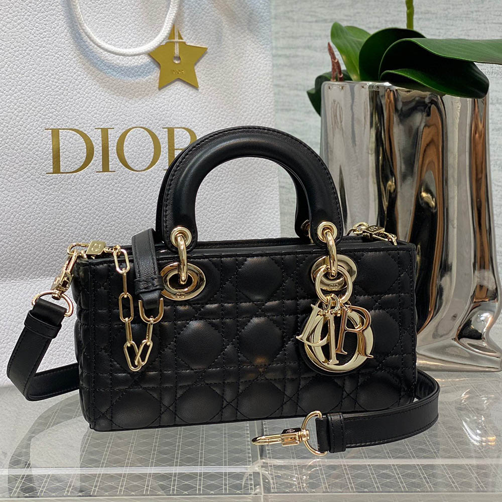 Dior Small Lady D-Joy