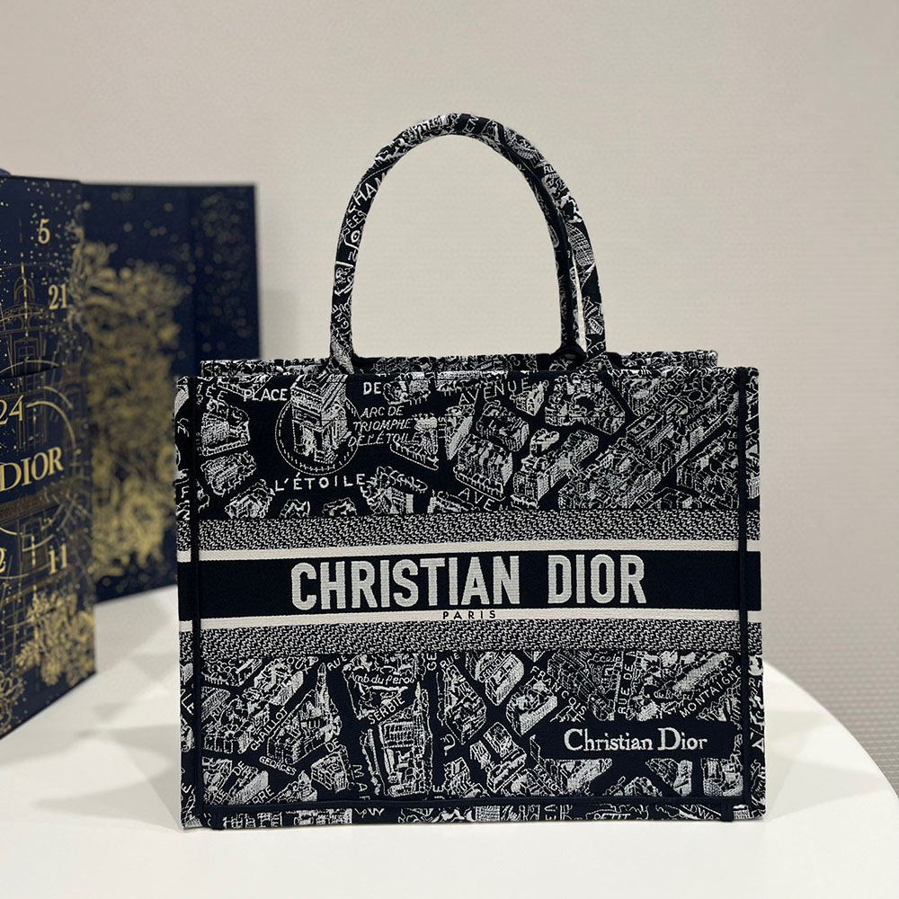 DIOR Book Tote Paris Map Bags