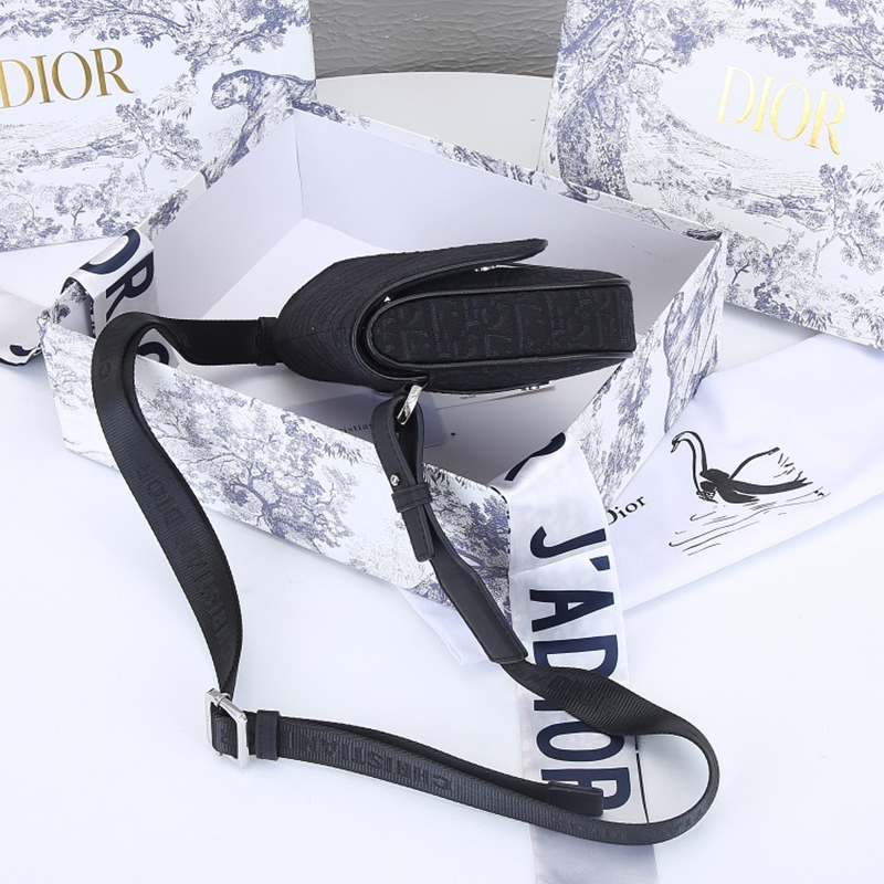 Dior SADDLE Bag Mini Saddle Bag with Original Box