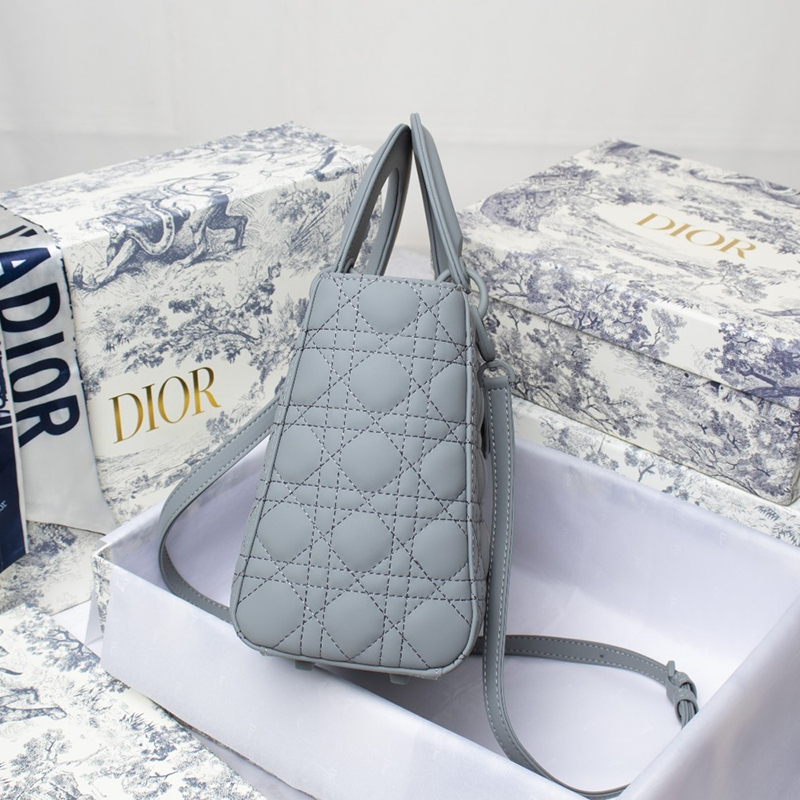 Dior The LADY D-LITE Bag