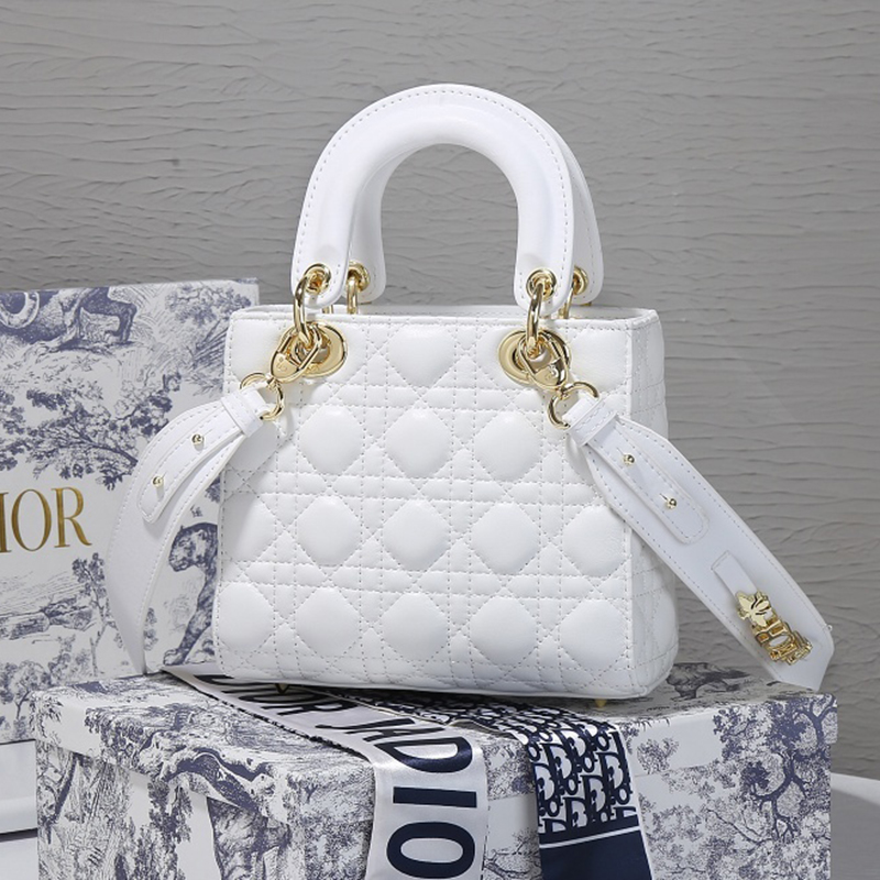 Dior The LADY D-LITE Bag