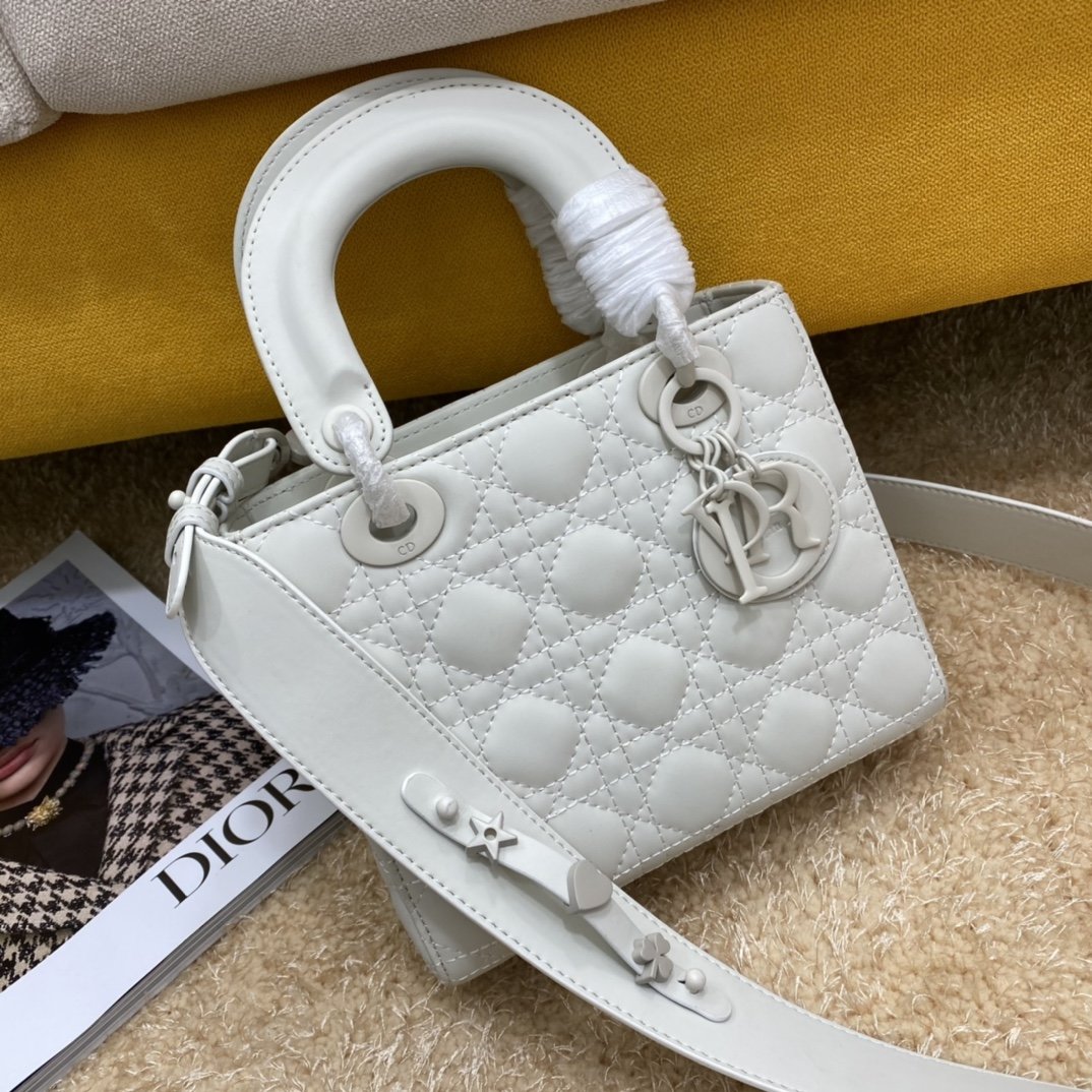 Dior The LADY D-LITE Bag