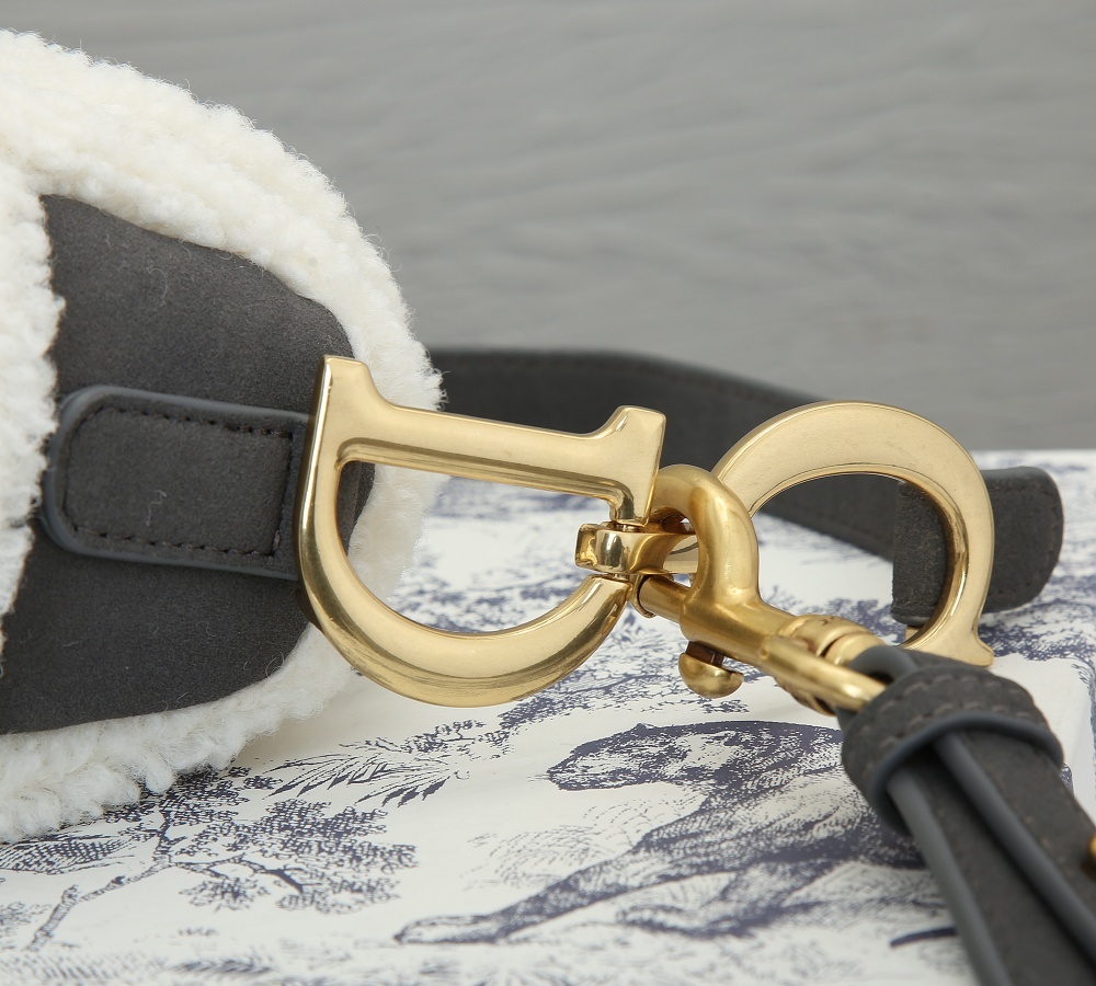 Dior SADDLE Bag