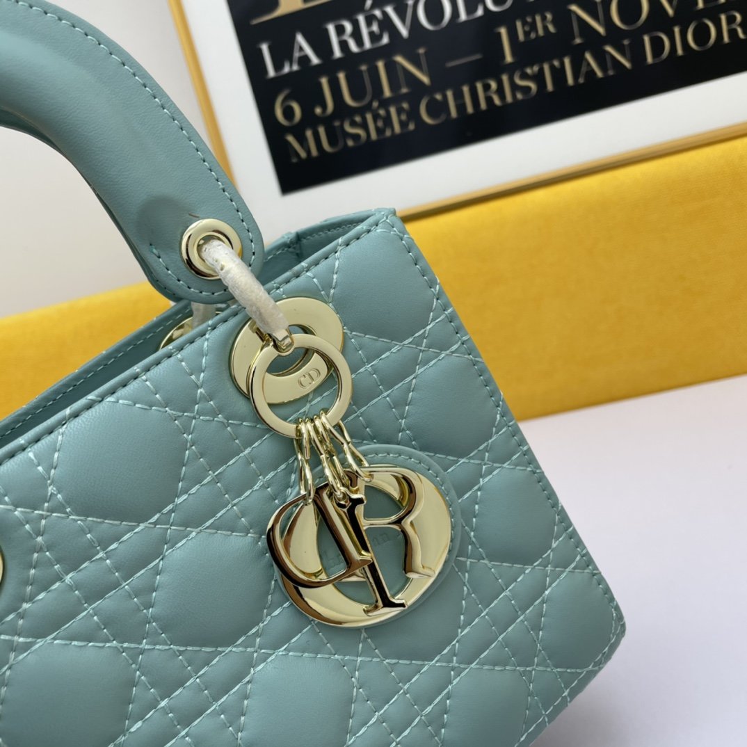 Dior The LADY D-LITE Bag