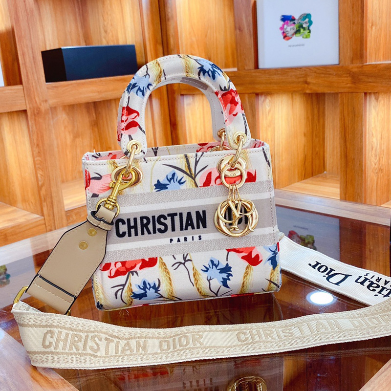 Dior The LADY D-LITE Bag