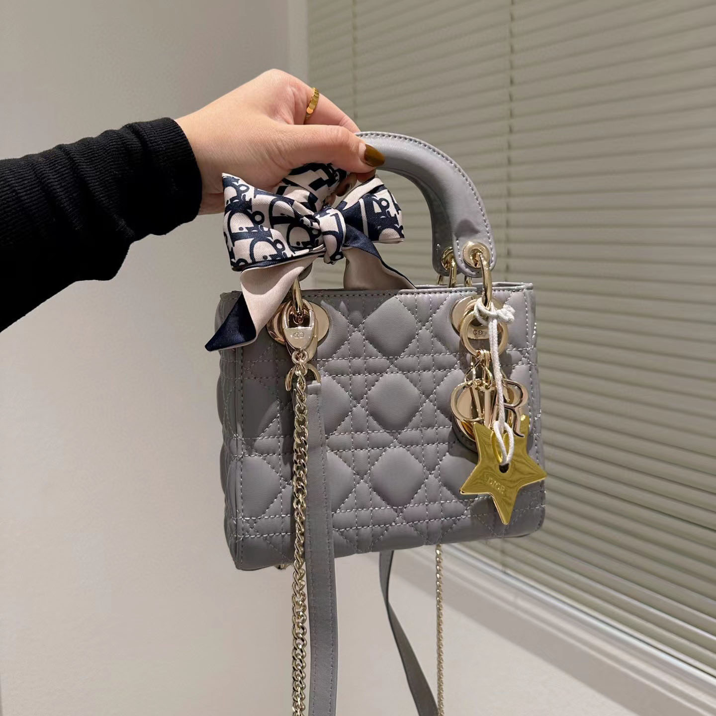 Dior  Mini Lady Bag-