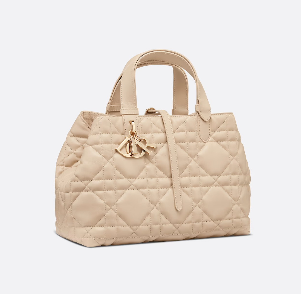 Dior Toujours Small Cowhide