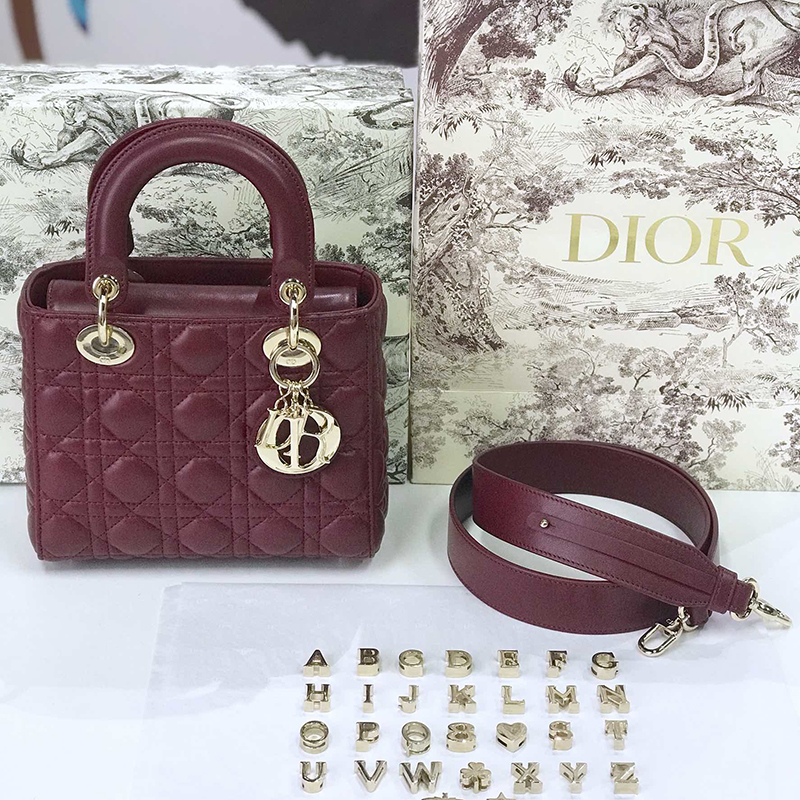 Dior The LADY D-LITE Bag
