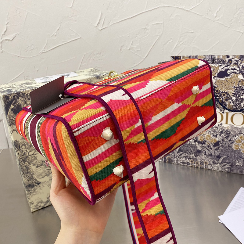 Dior The LADY D-LITE Bag