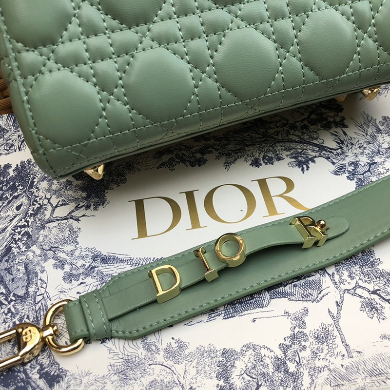 Dior The LADY D-LITE Bag