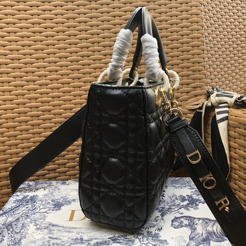 Dior The LADY D-LITE Bag