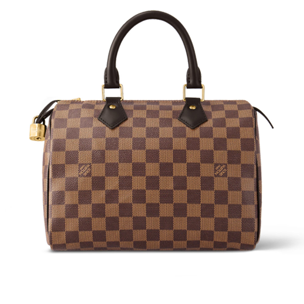LV Speedy 25 Damier Ebene Women Handbag