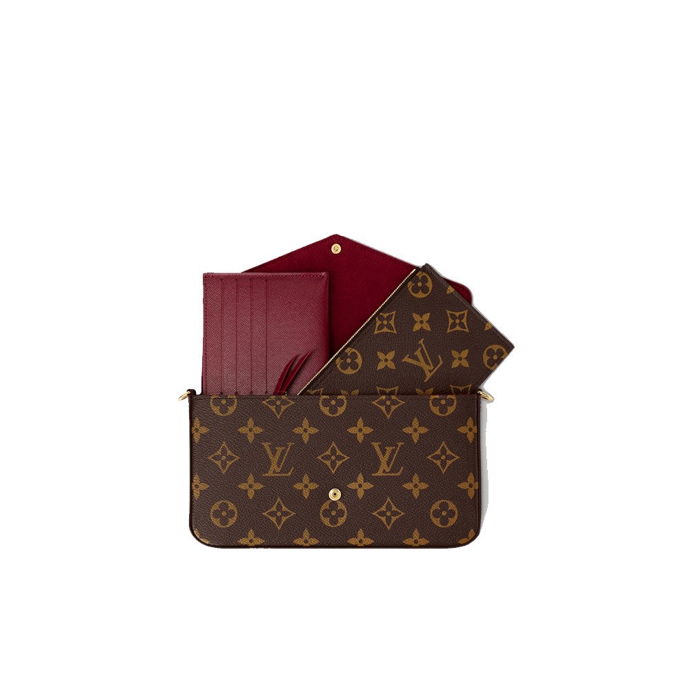 Louis Vuitton LV Felicie Pochette