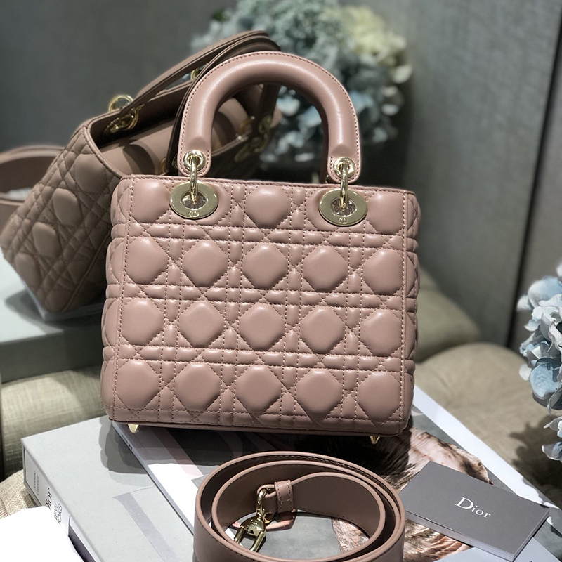 Dior The LADY D-LITE Bag