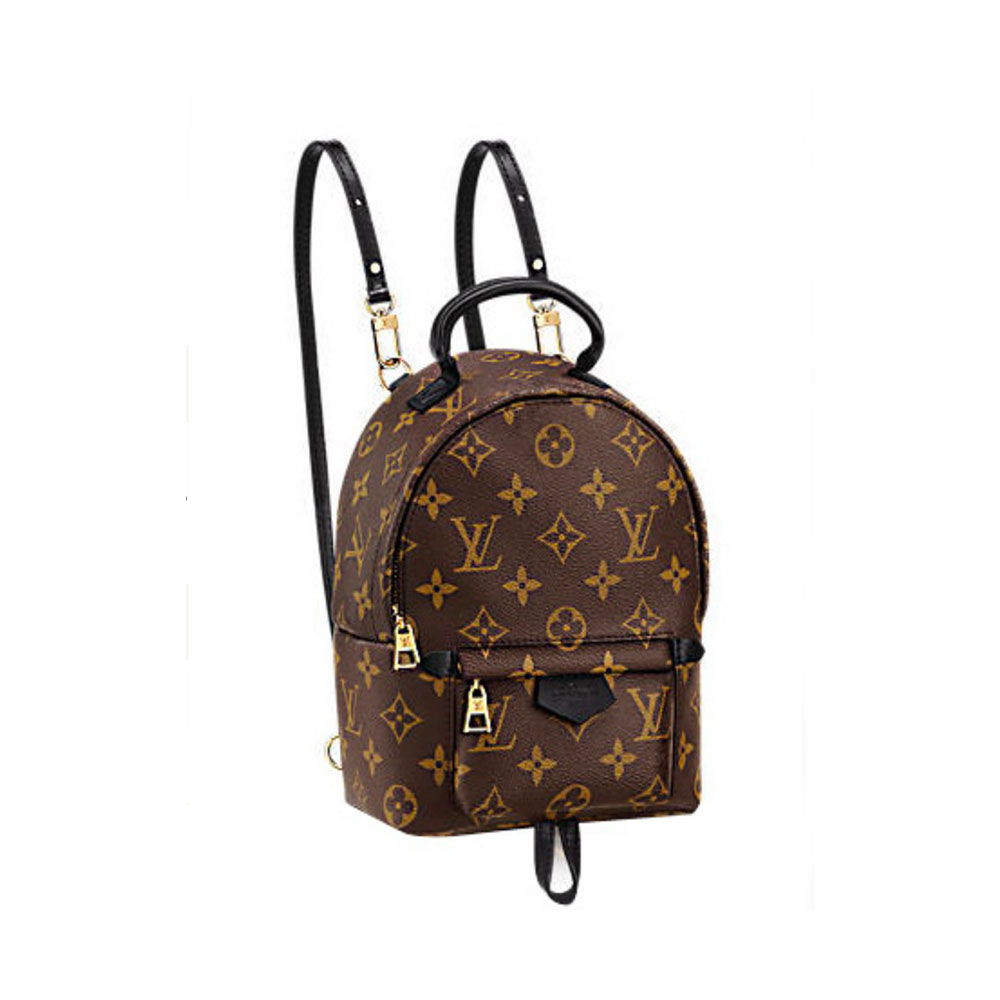 Louis Vuitton LV Palm Springs Backpack Mini&Small&Medium
