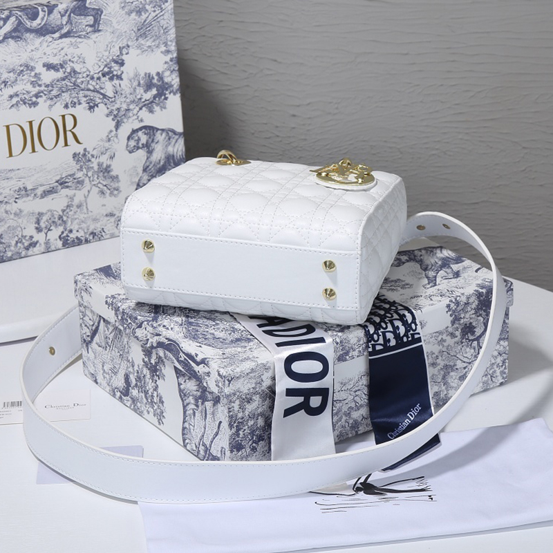 Dior The LADY D-LITE Bag