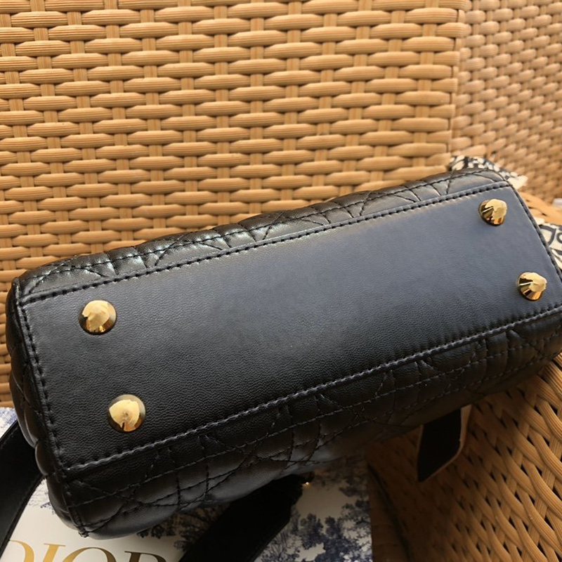 Dior The LADY D-LITE Bag