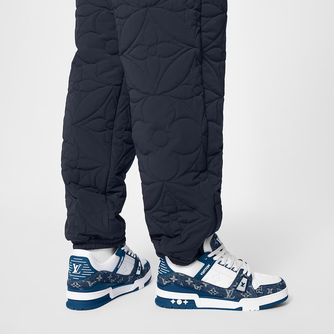 Louis Vuitton Trainer Sneakers Shoes