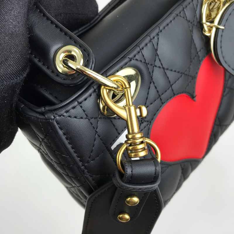 Dior The LADY D-LITE Bag
