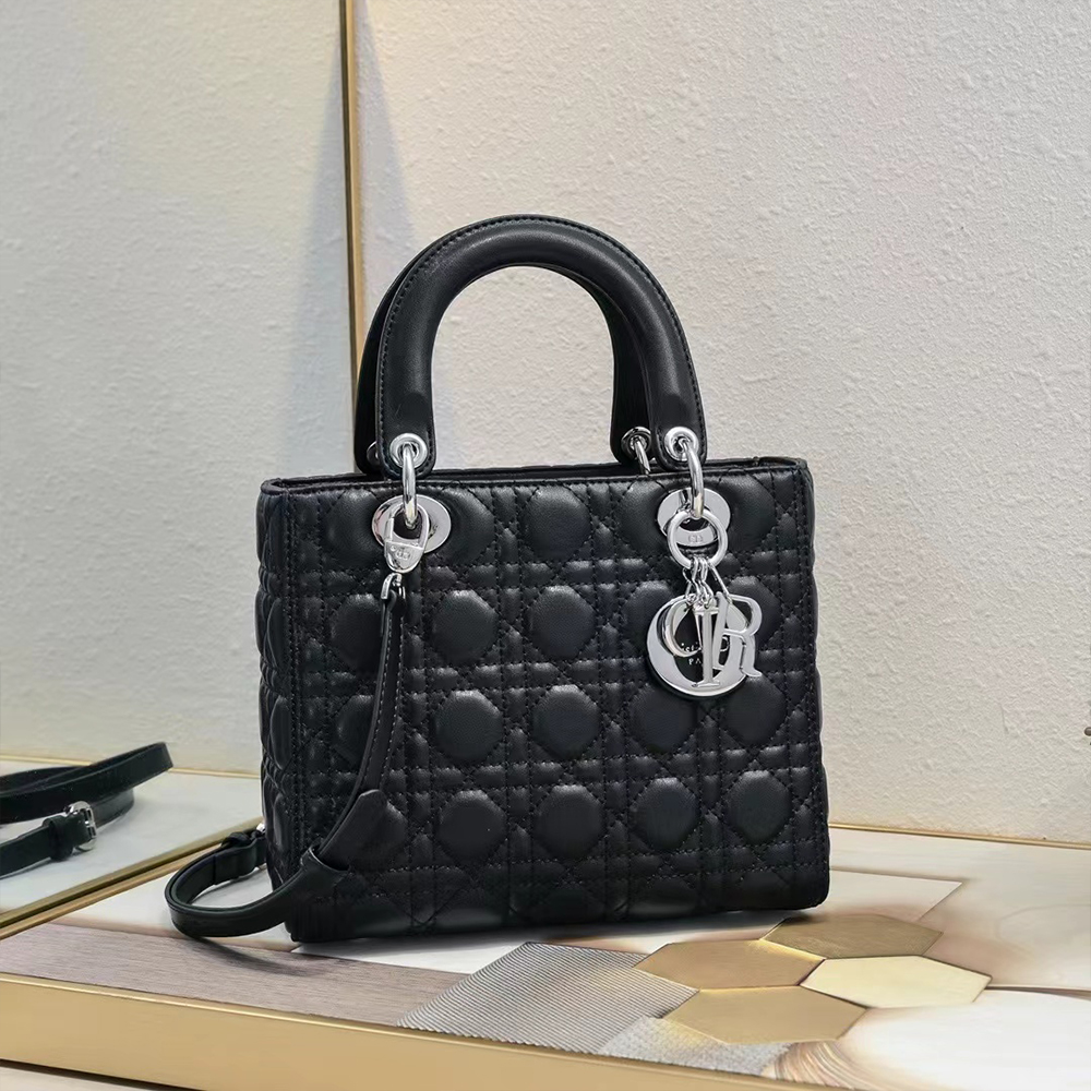 DIOR Lady Dior Bag