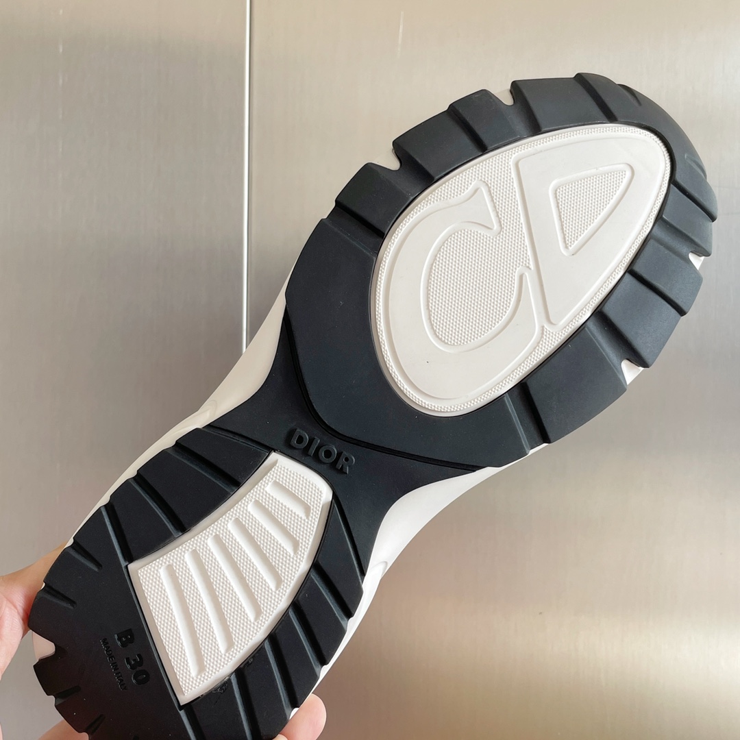 Dior B30 Dad Sneakers Black