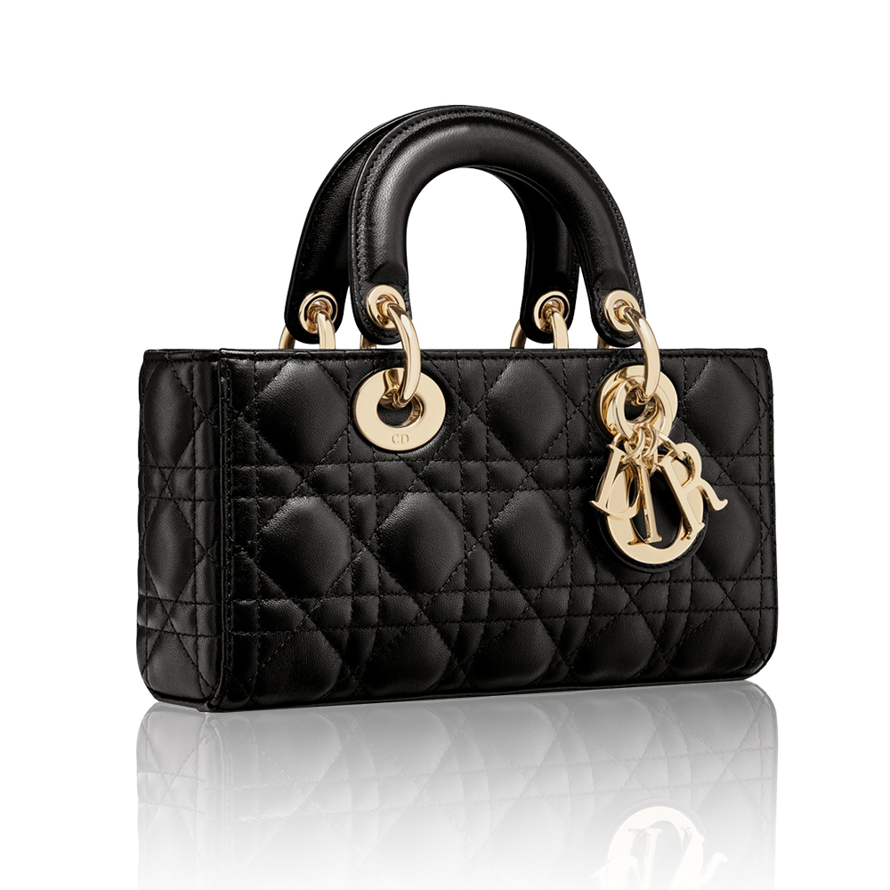 Dior Small Lady D-Joy