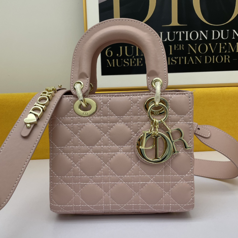 Dior The LADY D-LITE Bag