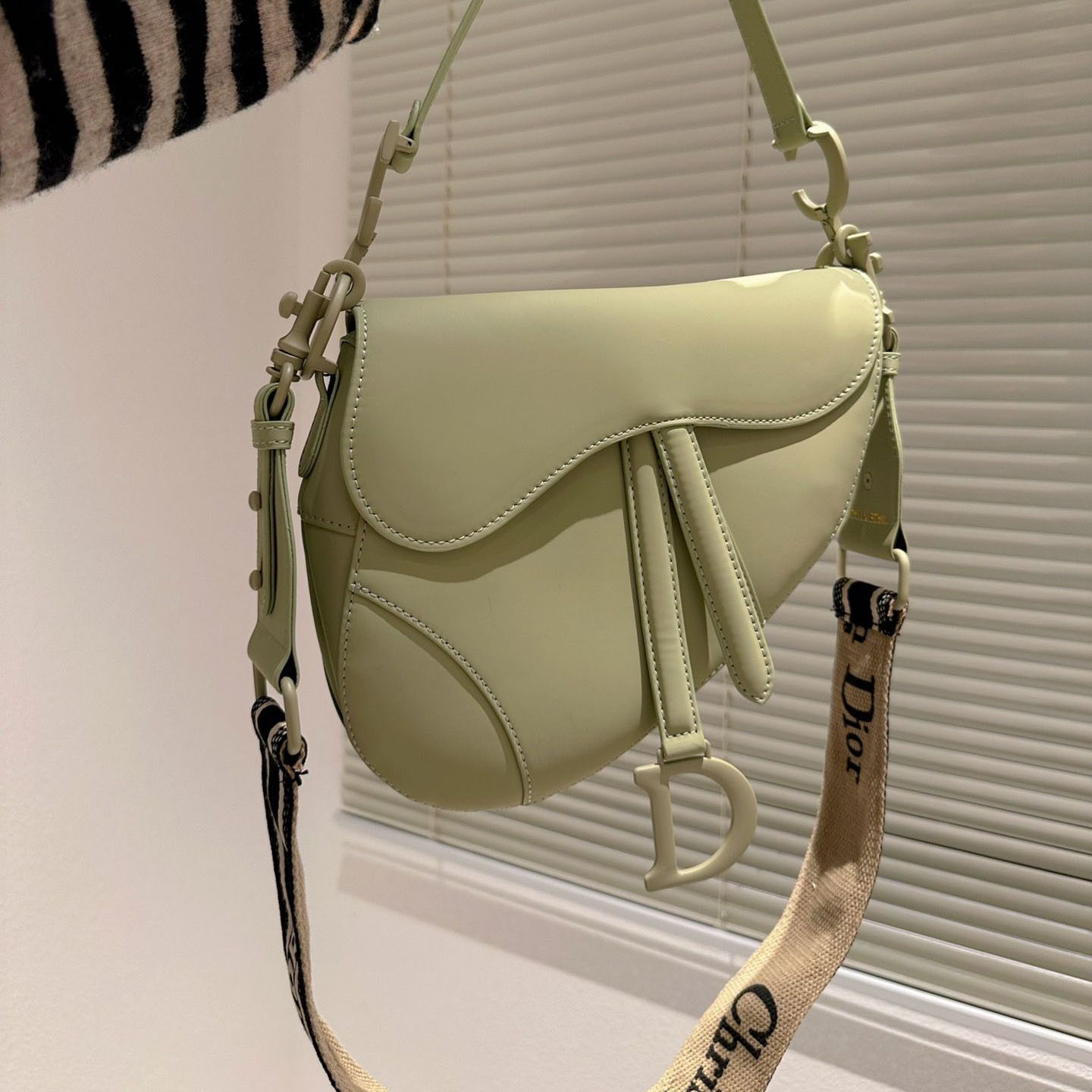Dior Saddle Bag Matte Leather Shoulder Bag
