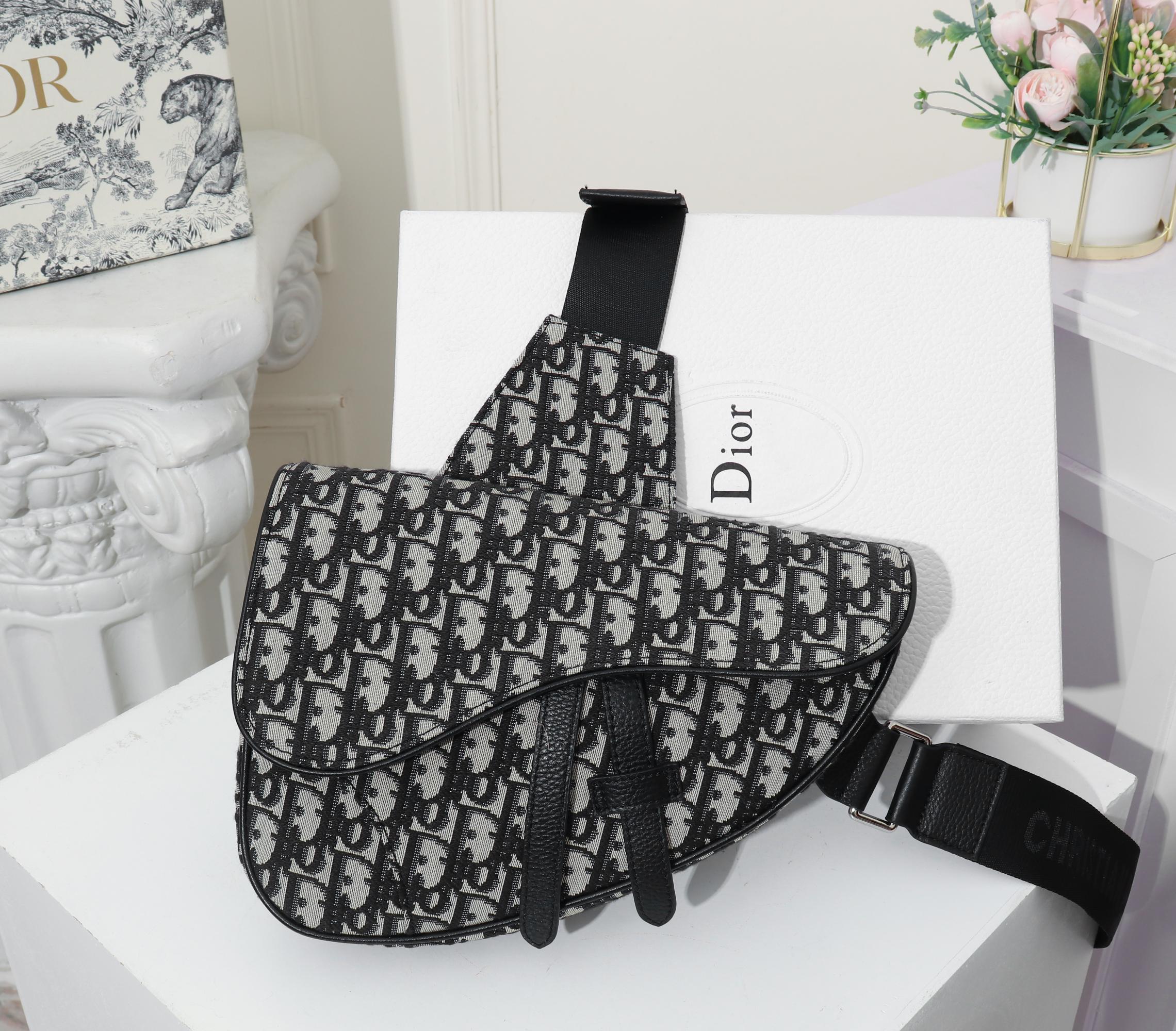 Dior Womens Bag Saddle Bag